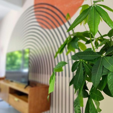 Le Rainbow - Grand Studio Avec Terrasse Dunkirk Eksteriør billede